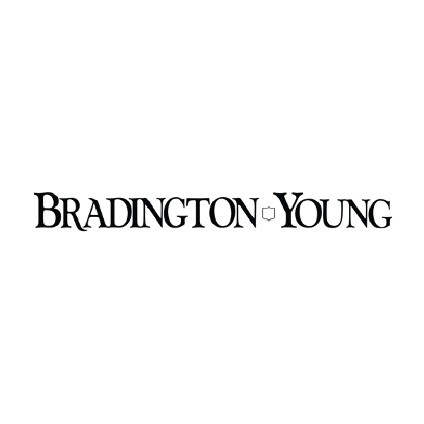 Furniture - Bradington Young